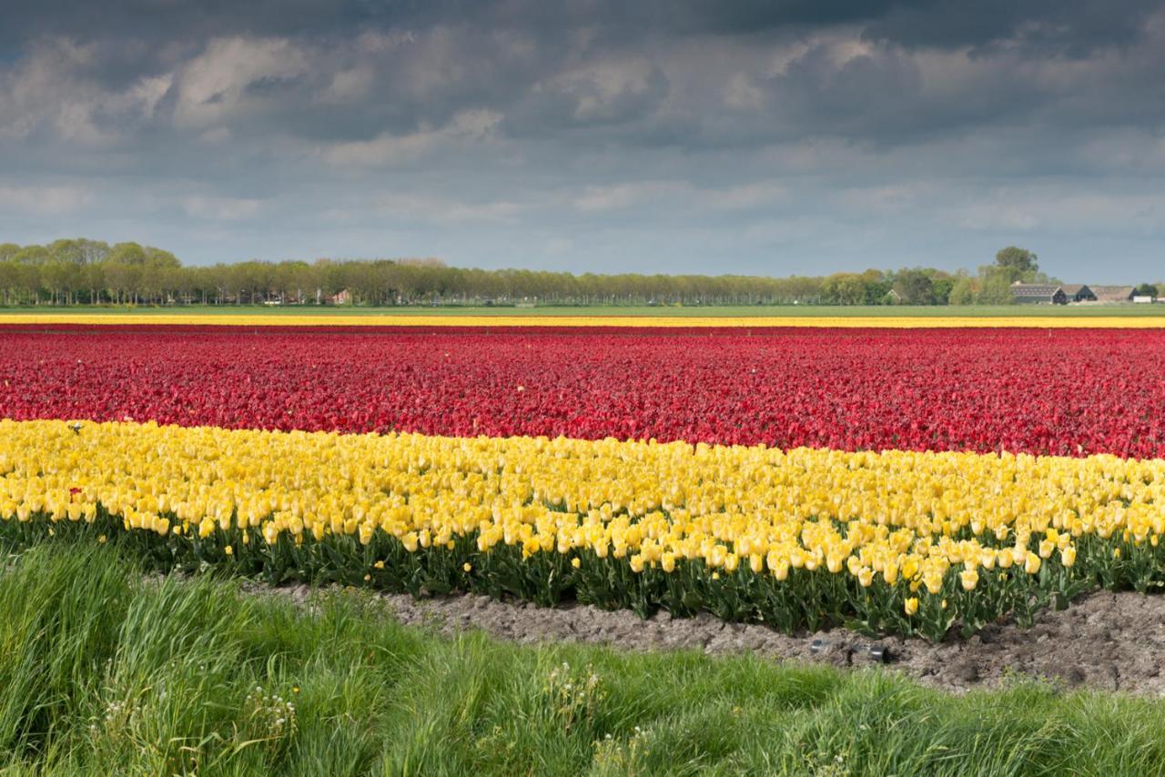 Buitenplaats Langewijk Zuidoostbeemster Dış mekan fotoğraf